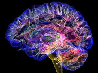 大屌啪啪网站大脑植入物有助于严重头部损伤恢复